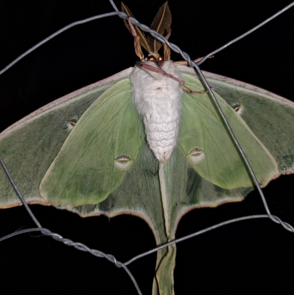 Hidden Tresures - Picture 2 of 3